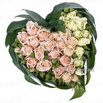 Серце 